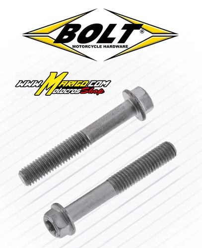 3a - Viti a testa esagonale/BOLT TORX M6 x 1,00 x 40mm   1 PEZZO   cod. 1061441  - 024-60640