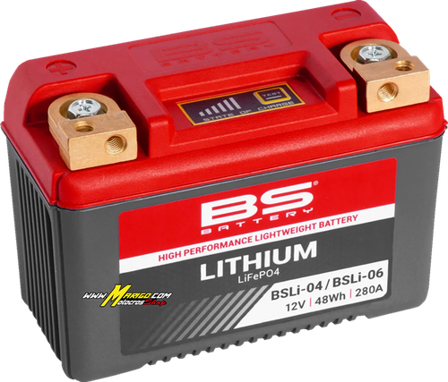Batteria al litio LiFePO4  BATTERY LITHIUM BSLI-04/BSLI-06  cod. 21130786 / 360104