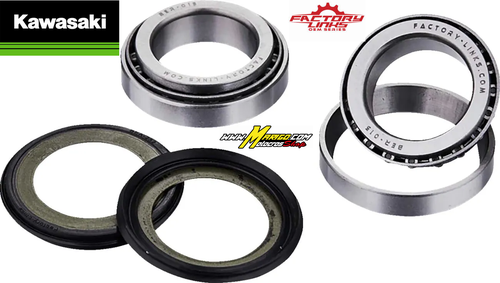 KAWASAKI   CUSCINETTI STERZO   FACTORY LINKS
