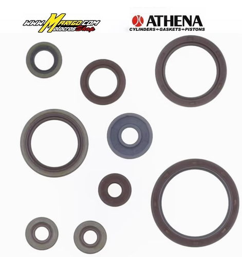 3d - Serie Paraolio Motore  BETA ENDURO RR 350 4T 350 cc 2011/2024 cod. P400060400016