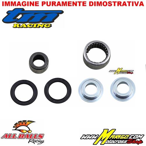 REVISIONE AMMORTIZZATORE INFERIORE  -  TM