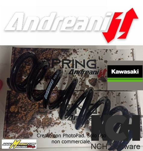 MOLLA MONOAMMORTIZZATORE KAWASAKI KXF 250 2006/2023  ANDREANI GROUP cod. RS50.260/xx