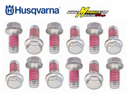 1b - KIT VITERIA REPLICA ORIGINALE  KIT VITI FRENO BOLT PER HUSQVARNA  ZINCATO    cod. 2009KRTR