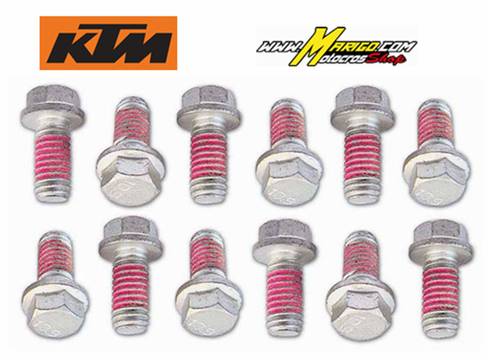 1b - KIT VITERIA REPLICA ORIGINALE  KIT VITI FRENO BOLT PER KTM ZINCATO  cod. 2009KRTR