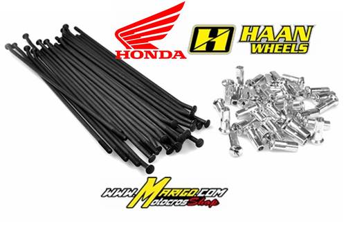 1a - Raggi + Nipples - Serie completa HONDA ANTERIORE  NERI   HAAN WHEELS COMPLETO DI NIPPLES 21"  cod. RH251301N