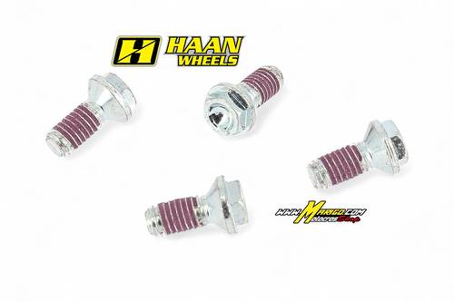 Viti HAAN WHEELS per disco freno KAWASAKI SUZUKI YAMAHA (4 pezzi)  cod. VT3044